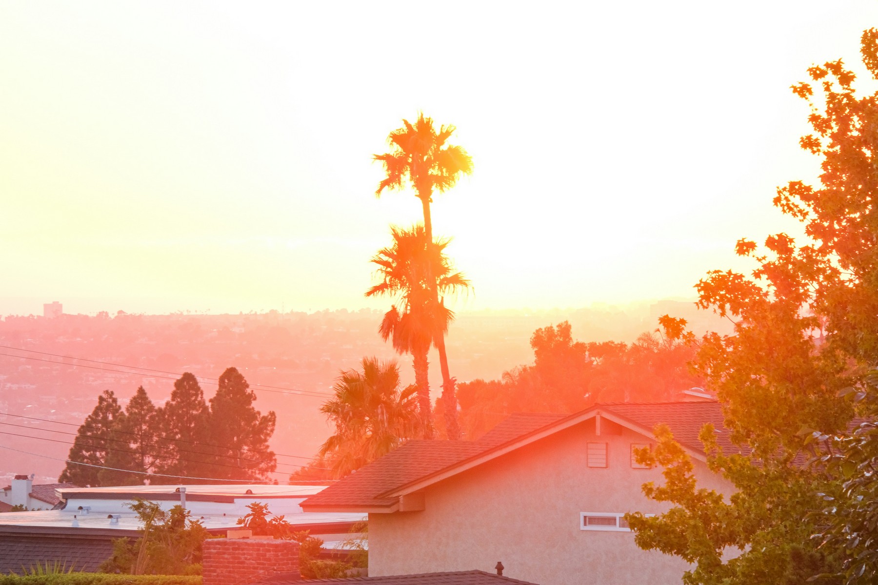 Lemon Grove